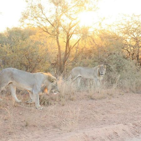 Kwalata Game Lodge Klipdrift Luaran gambar
