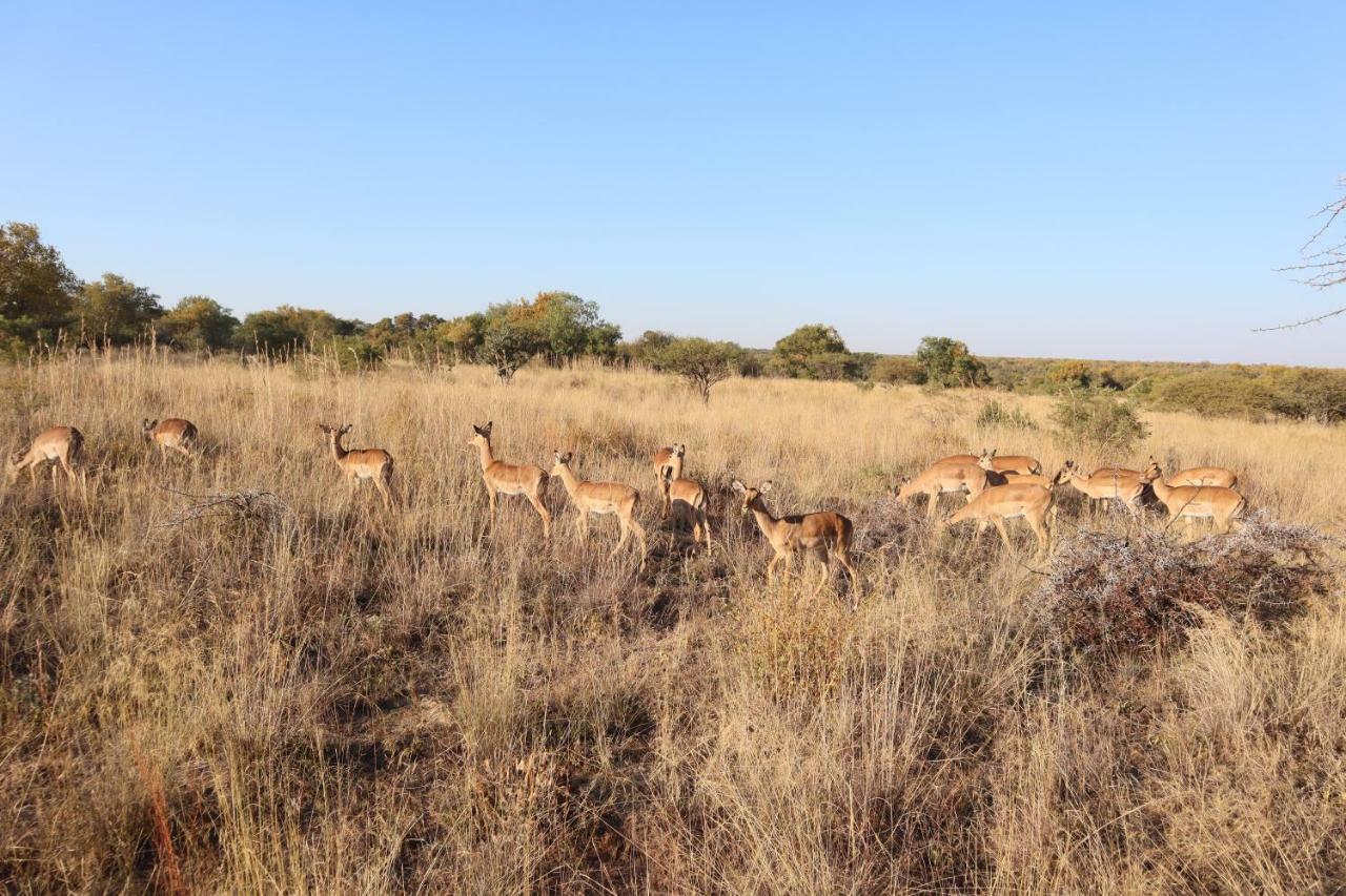 Kwalata Game Lodge Klipdrift Luaran gambar